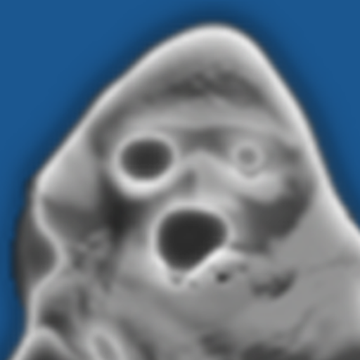 0ghost icon